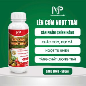 Lên cơm ngọt trái