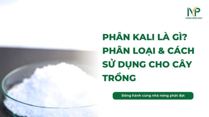 Phân Kali là gì