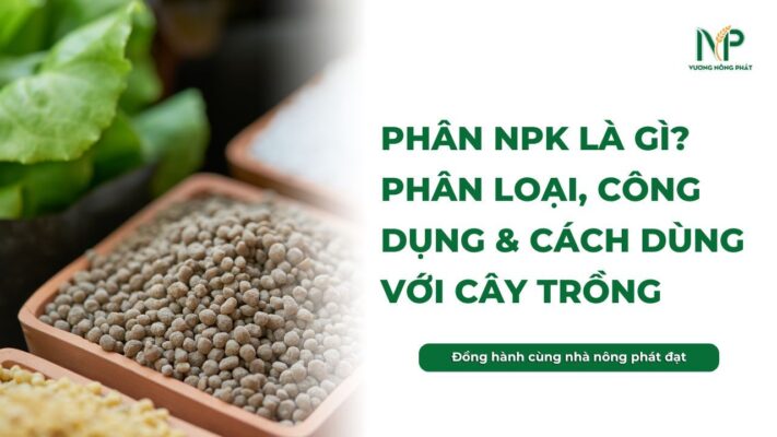 Phân NPK là gì