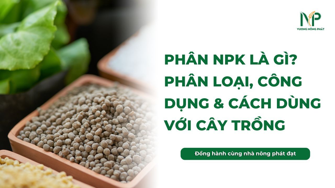 Phân NPK là gì