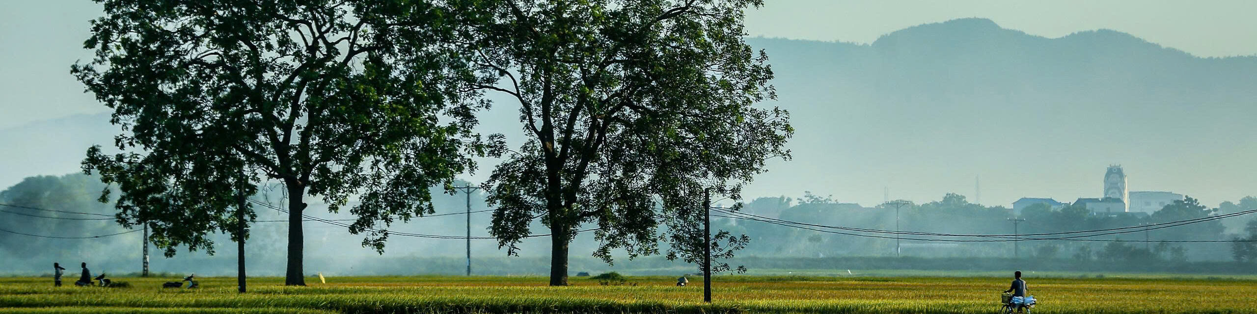 banner lien he e1761992604233