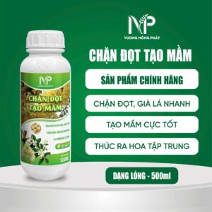 Chặn đọt tạo mầm