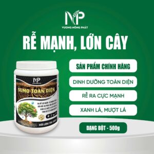 z7257483163734_6de12cea66aee6ecf32f9b985e664eb6